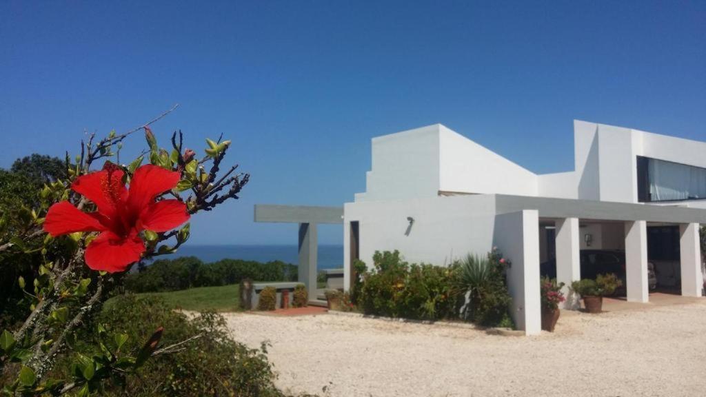 Herdade Amalia Rodrigues Zambujeira do Mar Exteriér fotografie