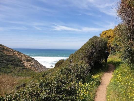 Herdade Amalia Rodrigues Zambujeira do Mar Exteriér fotografie